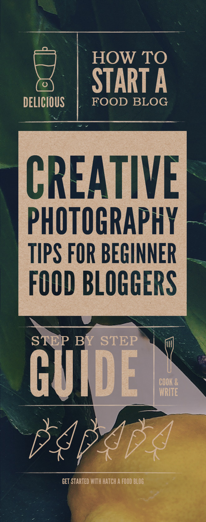 Food Photography For Beginner Food Bloggers