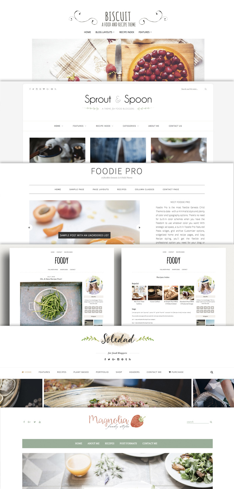 The Best WordPress Food Blog Template Designs And Themes